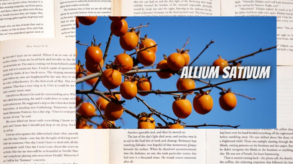 kaki-aroma-herb-dictionary-eyecatch-botanical-study