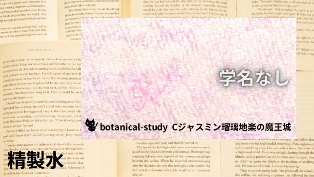 精製水のアロマハーブ事典(辞典)用アイキャッチ＠botanical-study