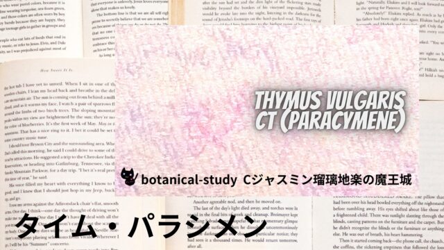 タイム・パラシメンのアロマハーブ事典(辞典)用アイキャッチ＠botanical-study