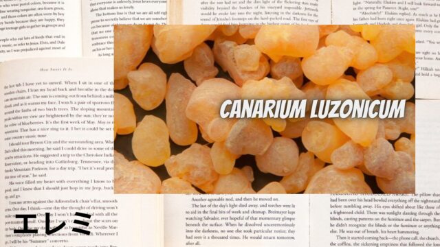 エレミのアロマハーブ事典(辞典)用アイキャッチ＠botanical-study