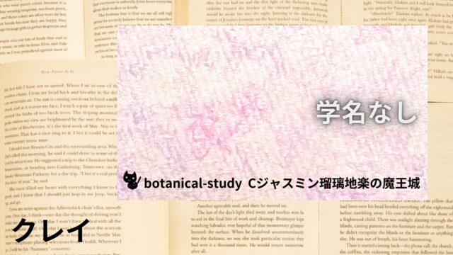 クレイのアロマハーブ事典(辞典)用アイキャッチ＠botanical-study