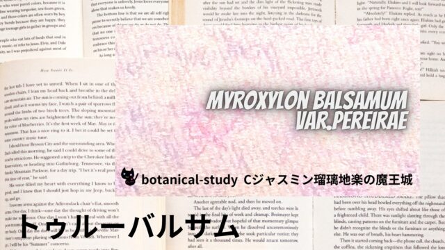 トゥルーバルサムのアロマハーブ事典(辞典)用アイキャッチ＠botanical-study