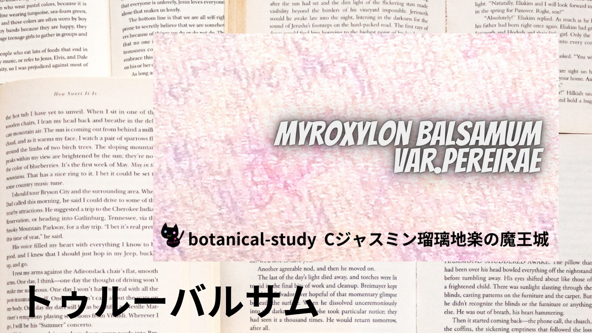 balsam-of-tolu-aroma-herb-dictionary-eyecatch-botanical-study