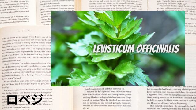 ロベジのアロマハーブ事典(辞典)用アイキャッチ＠botanical-study