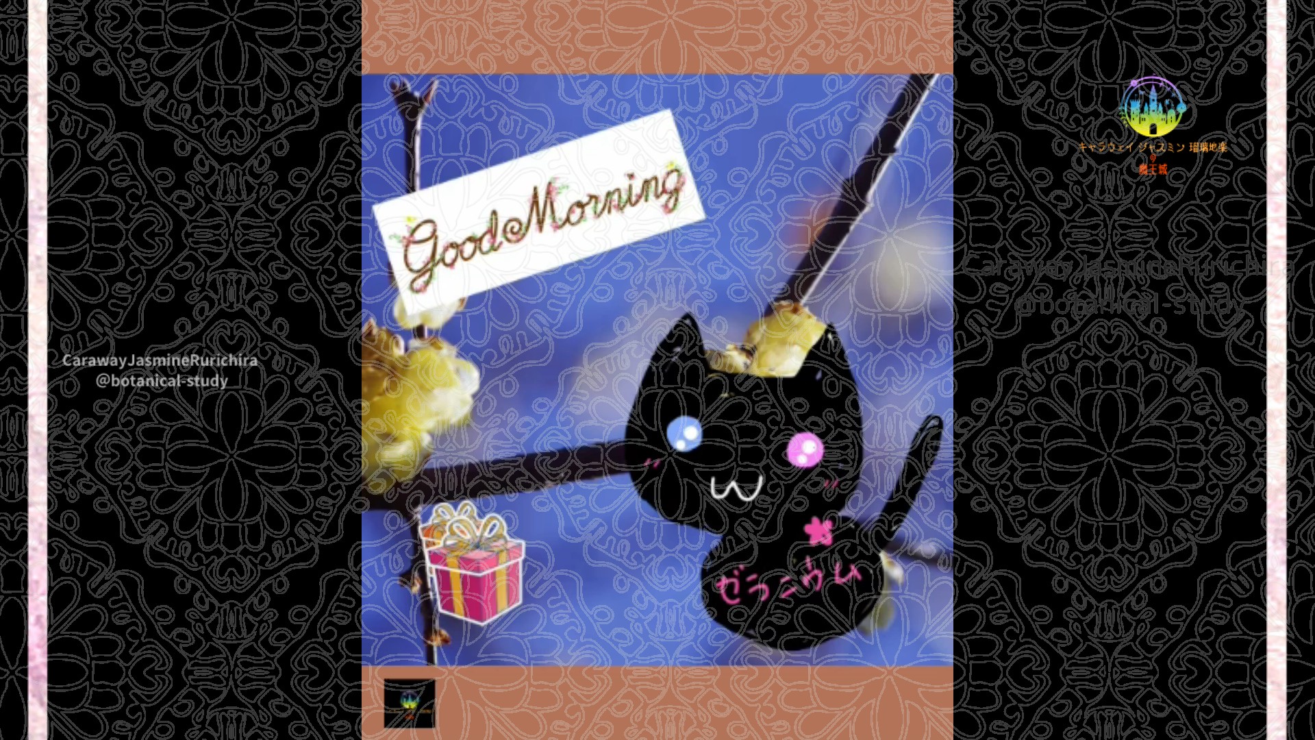 「ロウバイ」12月30日Rゼラニウム瑠璃地楽と今日の誕生花とおはようメッセージ＠botanical-study