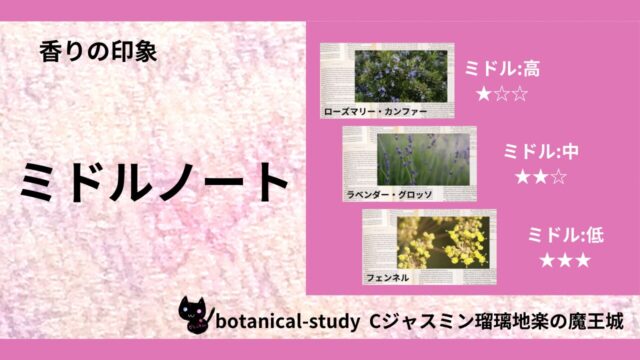 middle-note-essential-oils-list‐botanical-study