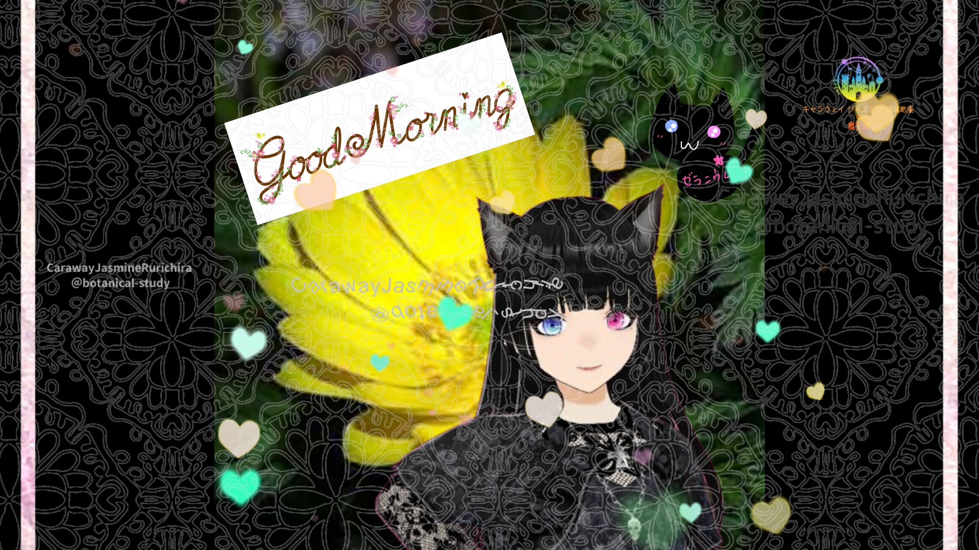 「フクジュソウ」とCジャスミン瑠璃地楽の今日の誕生花B-1月1日＠botanical-study