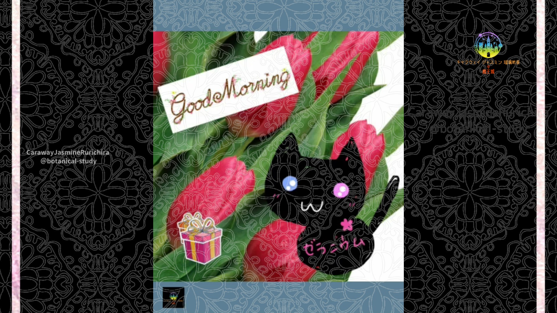 「チューリップ」12月15日とCジャスミン瑠璃地楽の今日の誕生花＠botanical-study