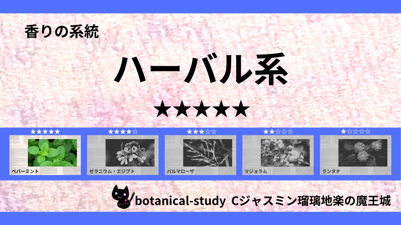 herbal-essential-oils-5-list‐botanical-study