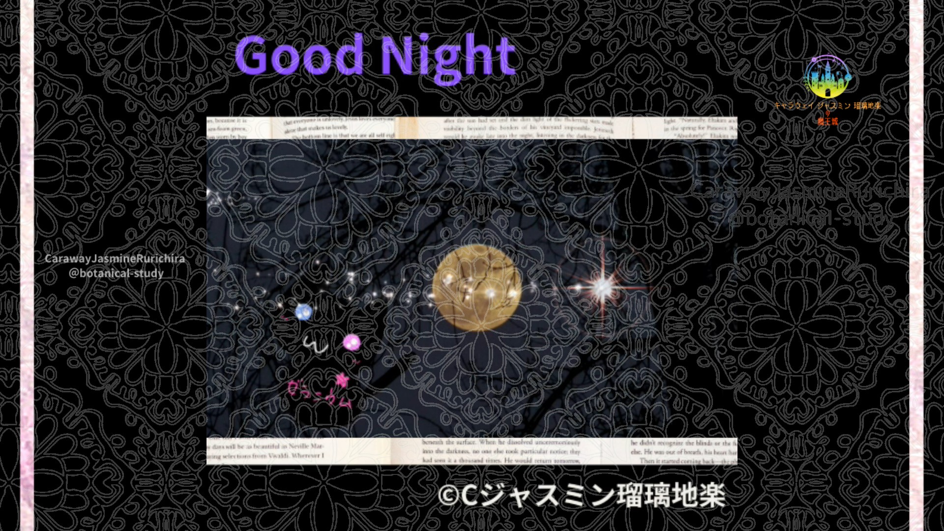 おやすみPU1 012＠botanical-study