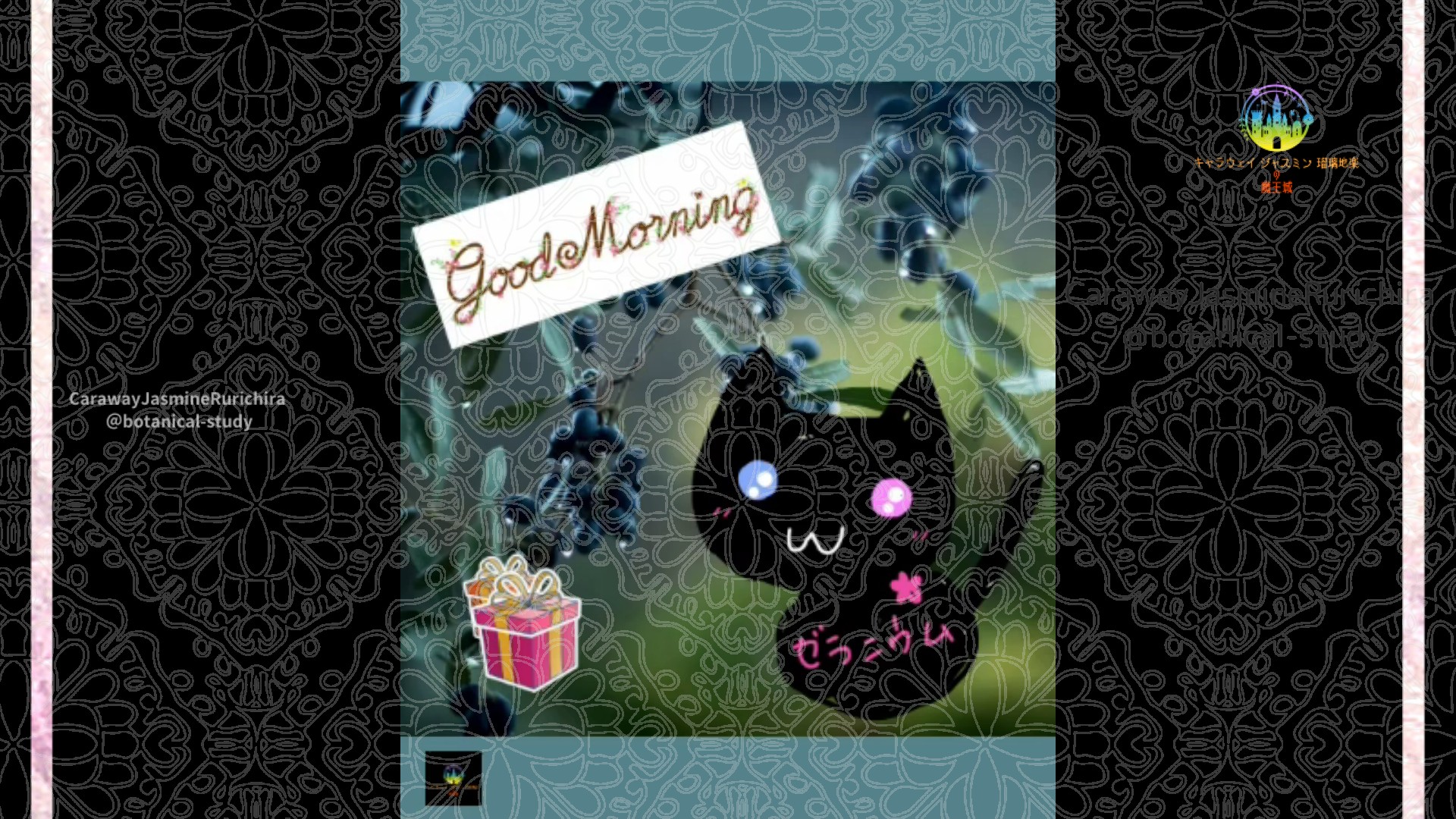 「オリーブ」12月31日Rゼラニウム瑠璃地楽と今日の誕生花とおはようメッセージ＠botanical-study