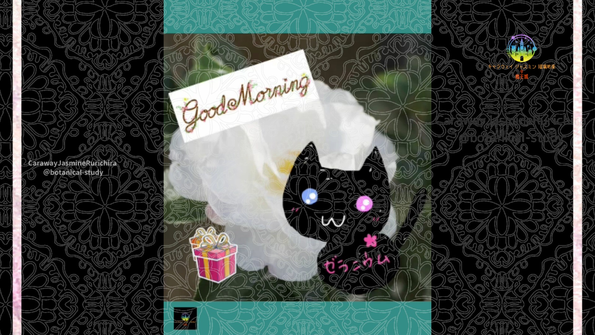 「サザンカ」12月10日Rゼラニウム瑠璃地楽と今日の誕生花とおはようメッセージ＠botanical-study