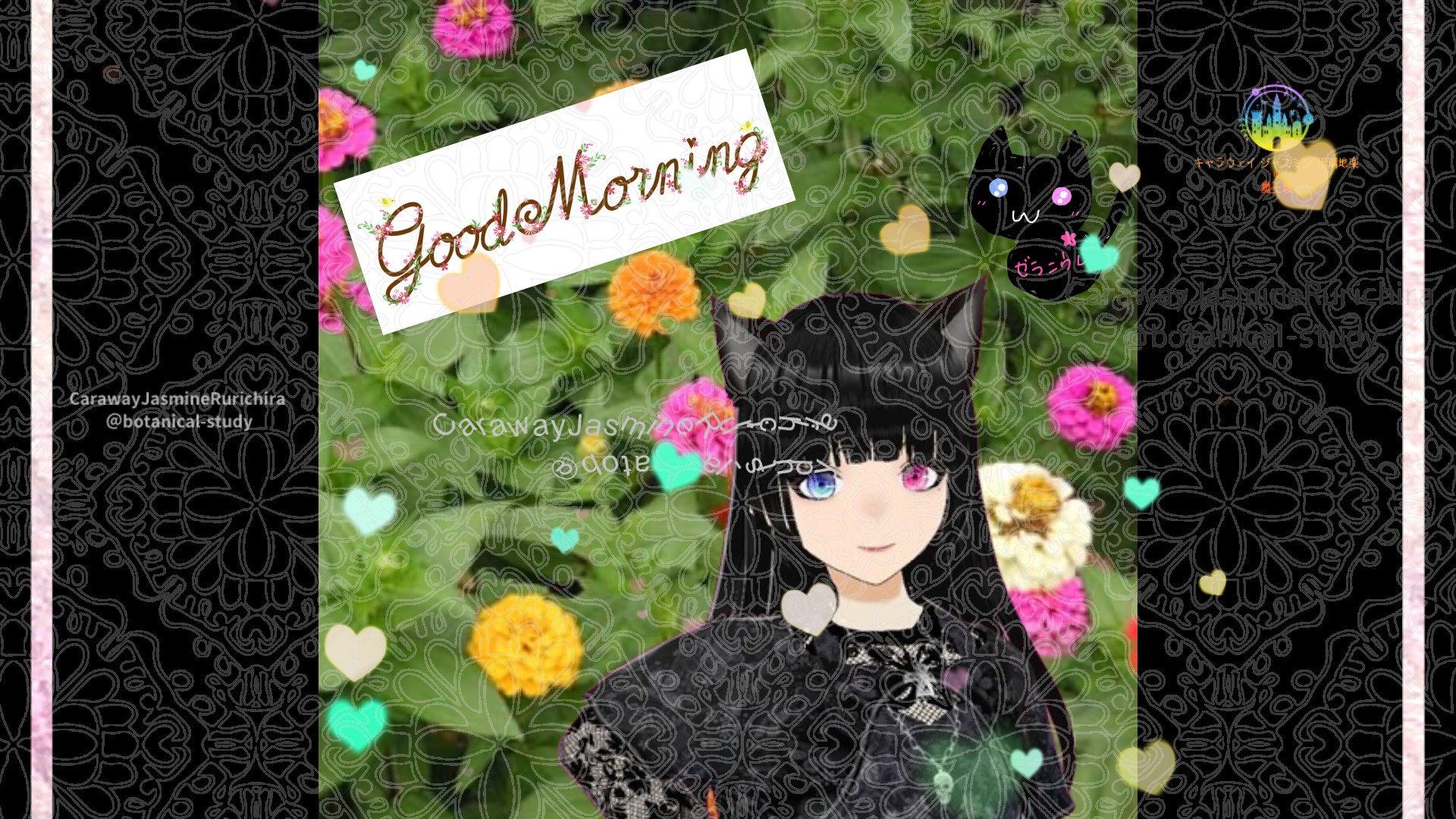 「ヒャクニチソウ」とCジャスミン瑠璃地楽の今日の誕生花B-12月22日＠botanical-study