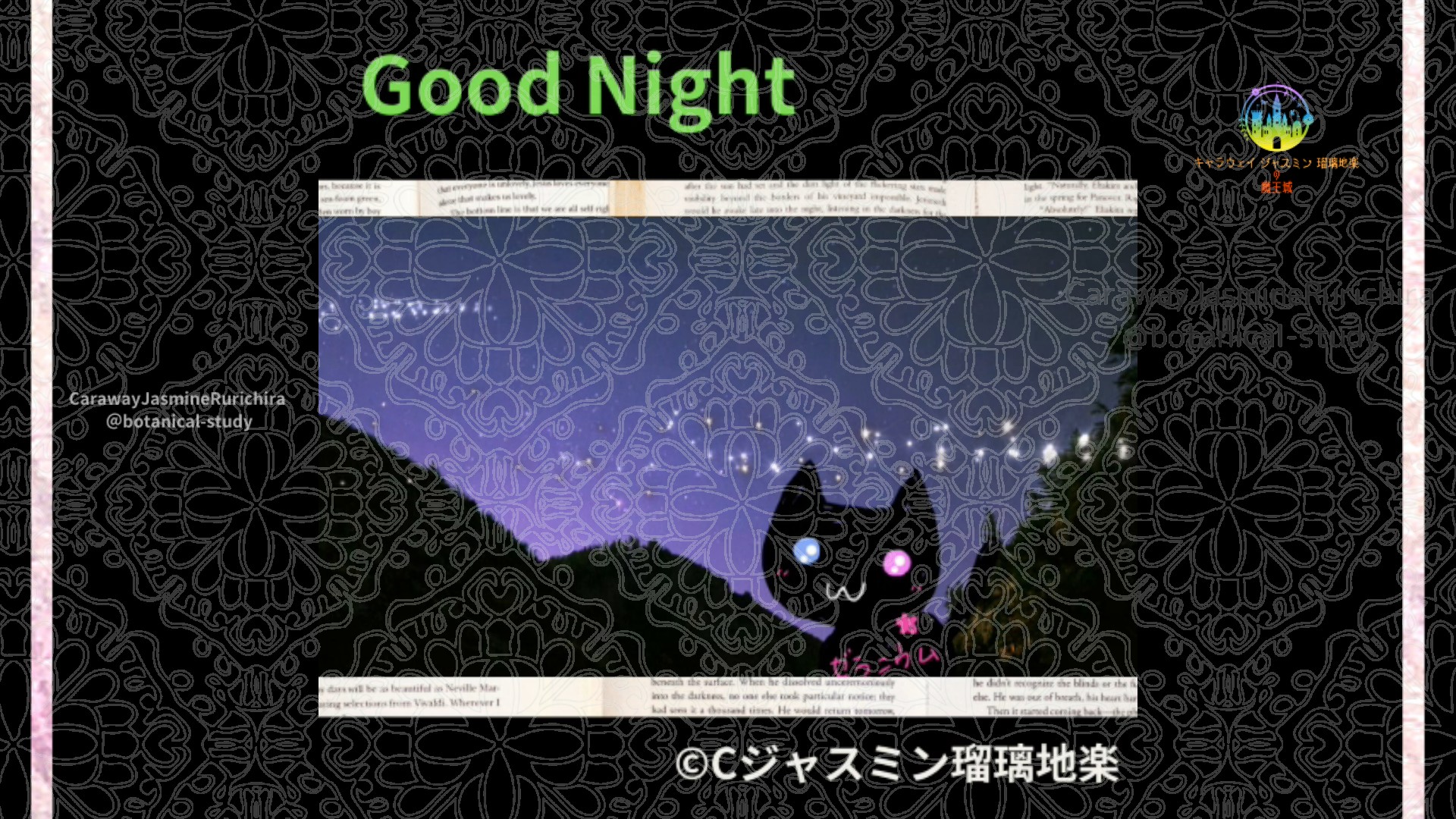 おやすみGR1 017＠botanical-study