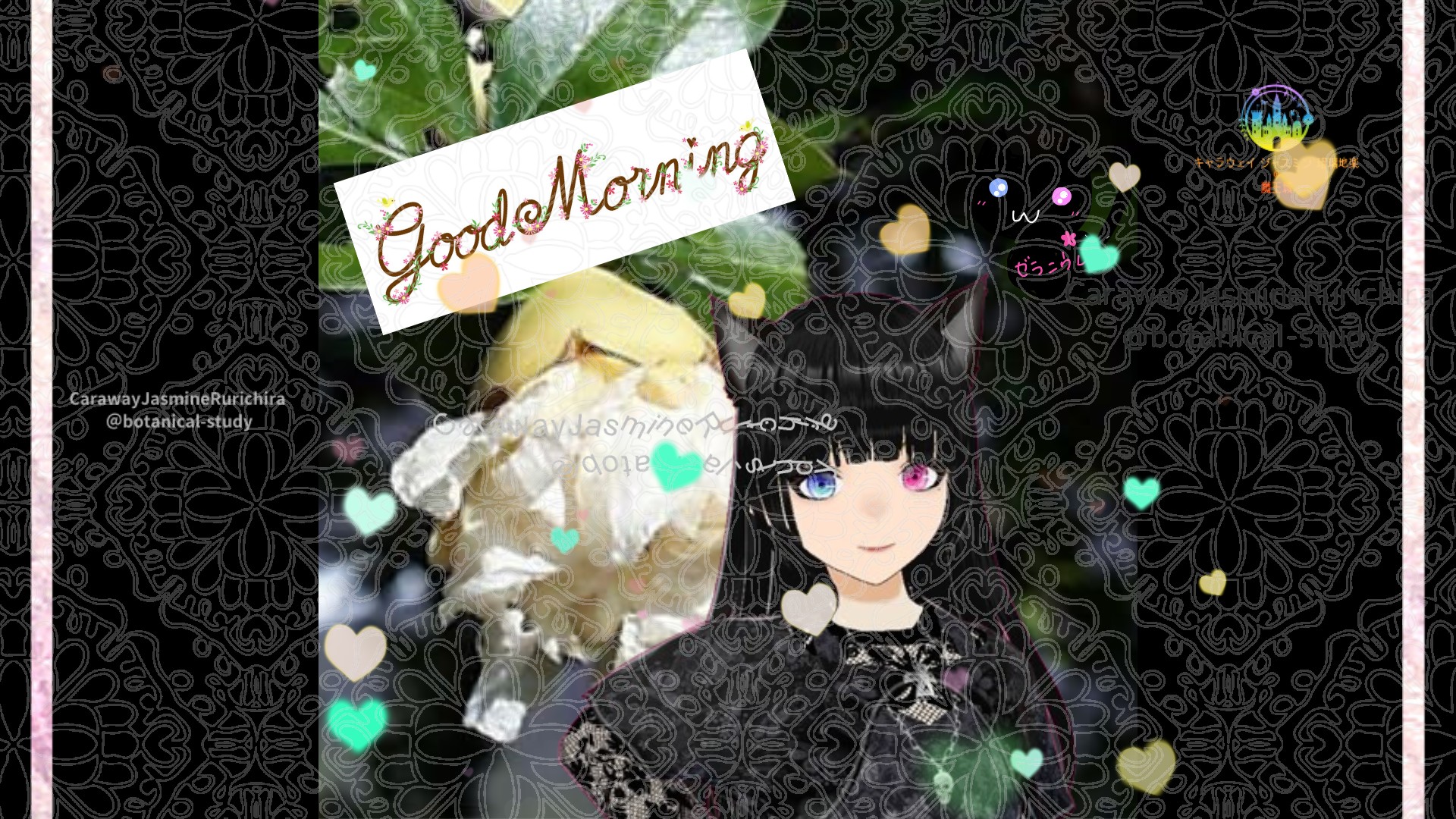 「ザクロ」とCジャスミン瑠璃地楽の今日の誕生花B-12月28日＠botanical-study