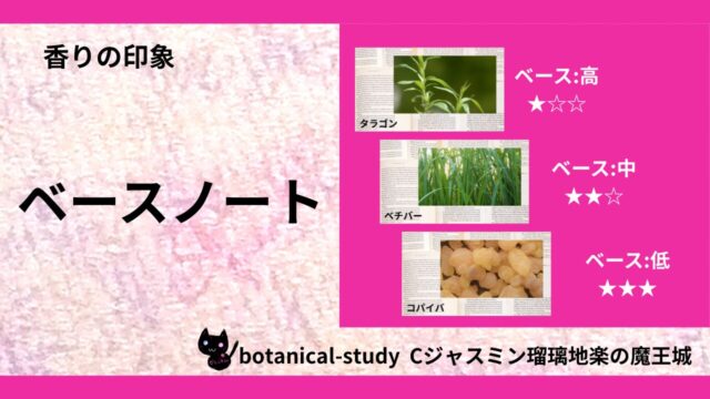 base-note-essential-oils-list‐botanical-study