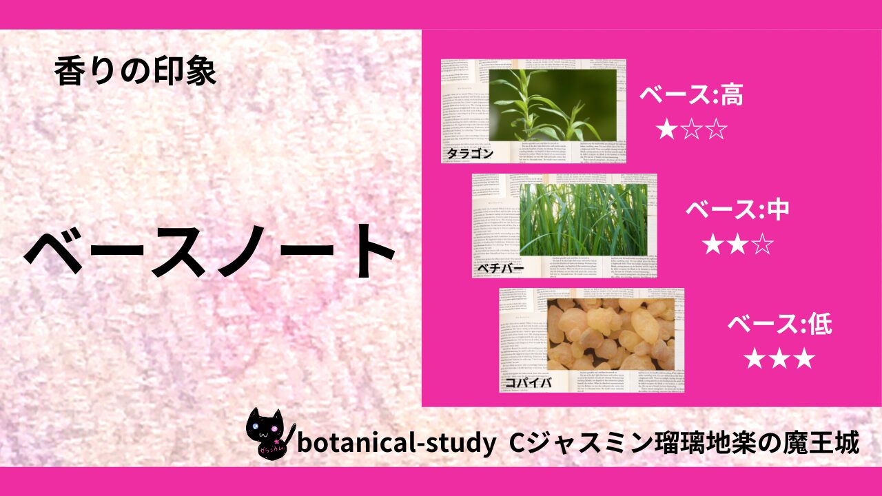 base-note-essential-oils-list‐botanical-study
