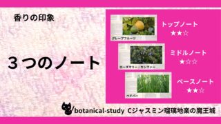 香りのノートとは？アロマの揮発性と分類一覧