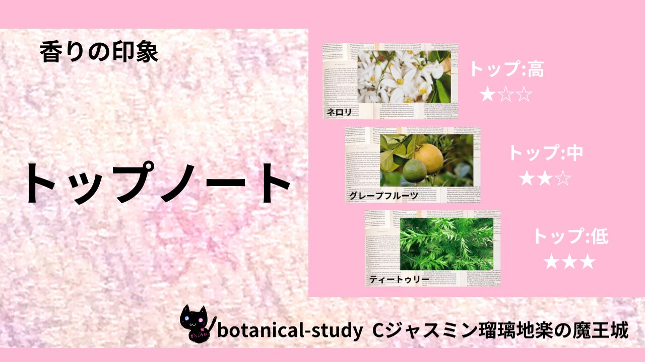 top-note-essential-oils-list‐botanical-study