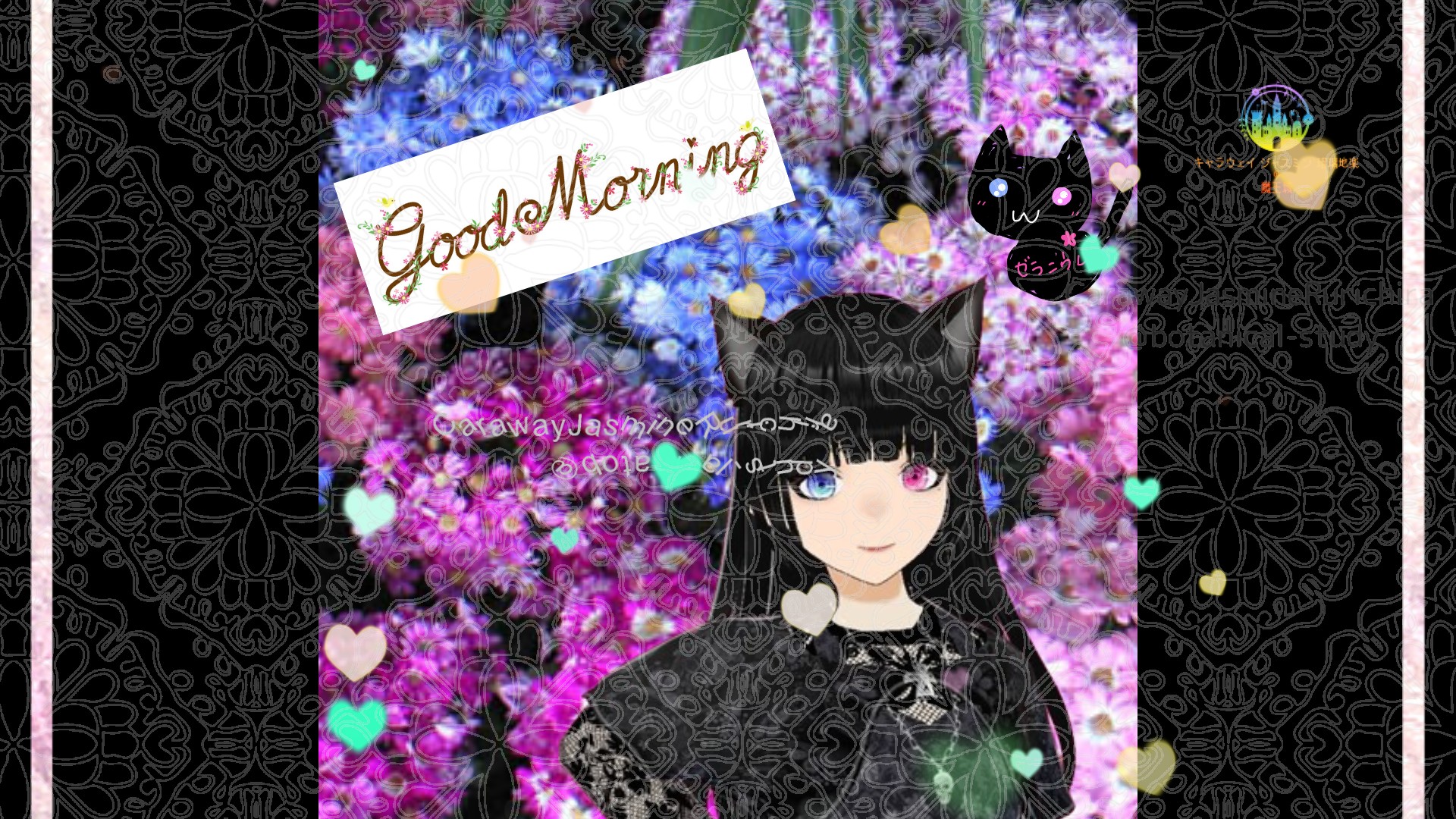 「シネラリア」とCジャスミン瑠璃地楽の今日の誕生花B-12月2日＠botanical-study