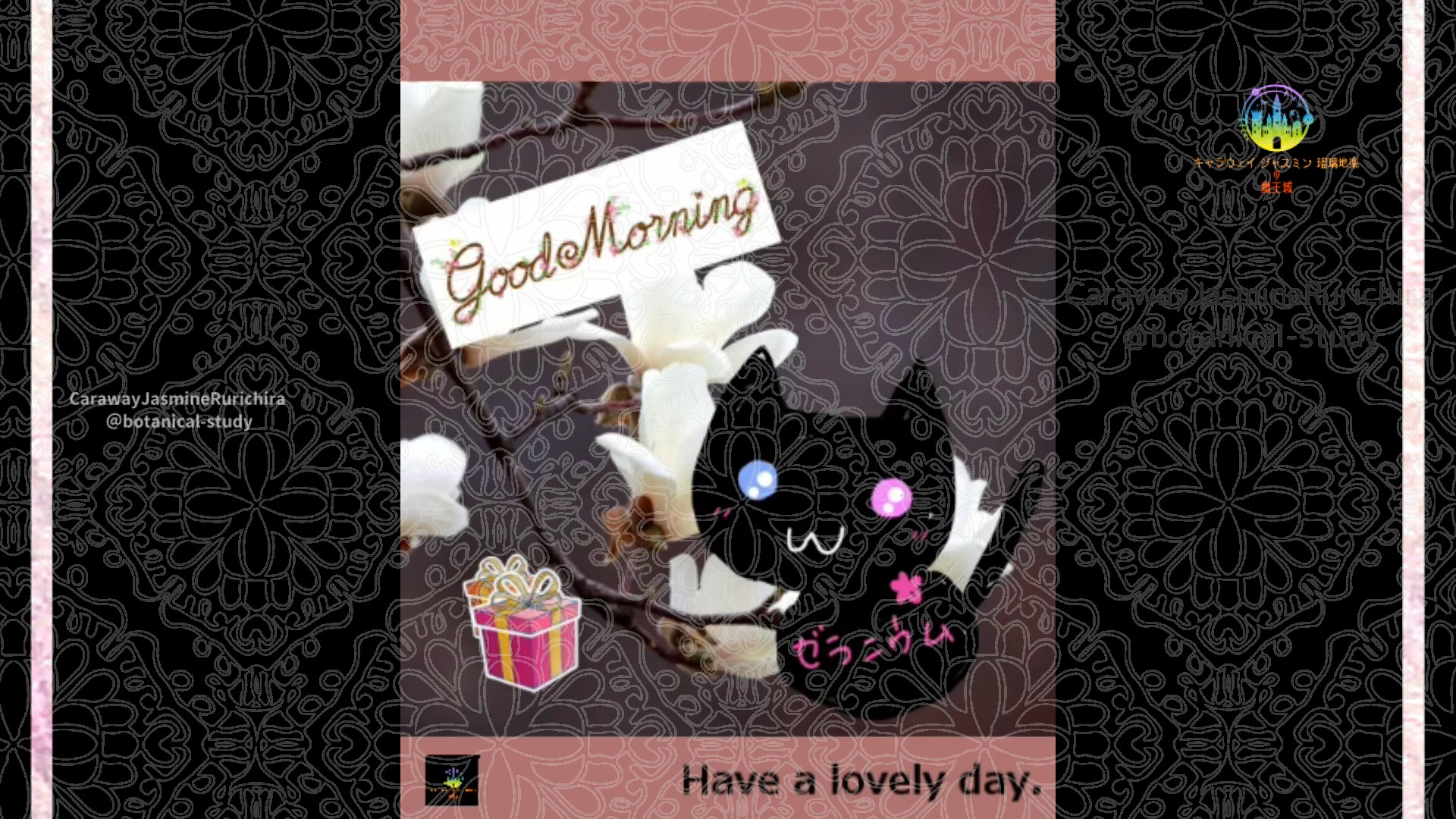 「モクレン」1月8日Rゼラニウム瑠璃地楽と今日の誕生花とおはようメッセージ＠botanical-study