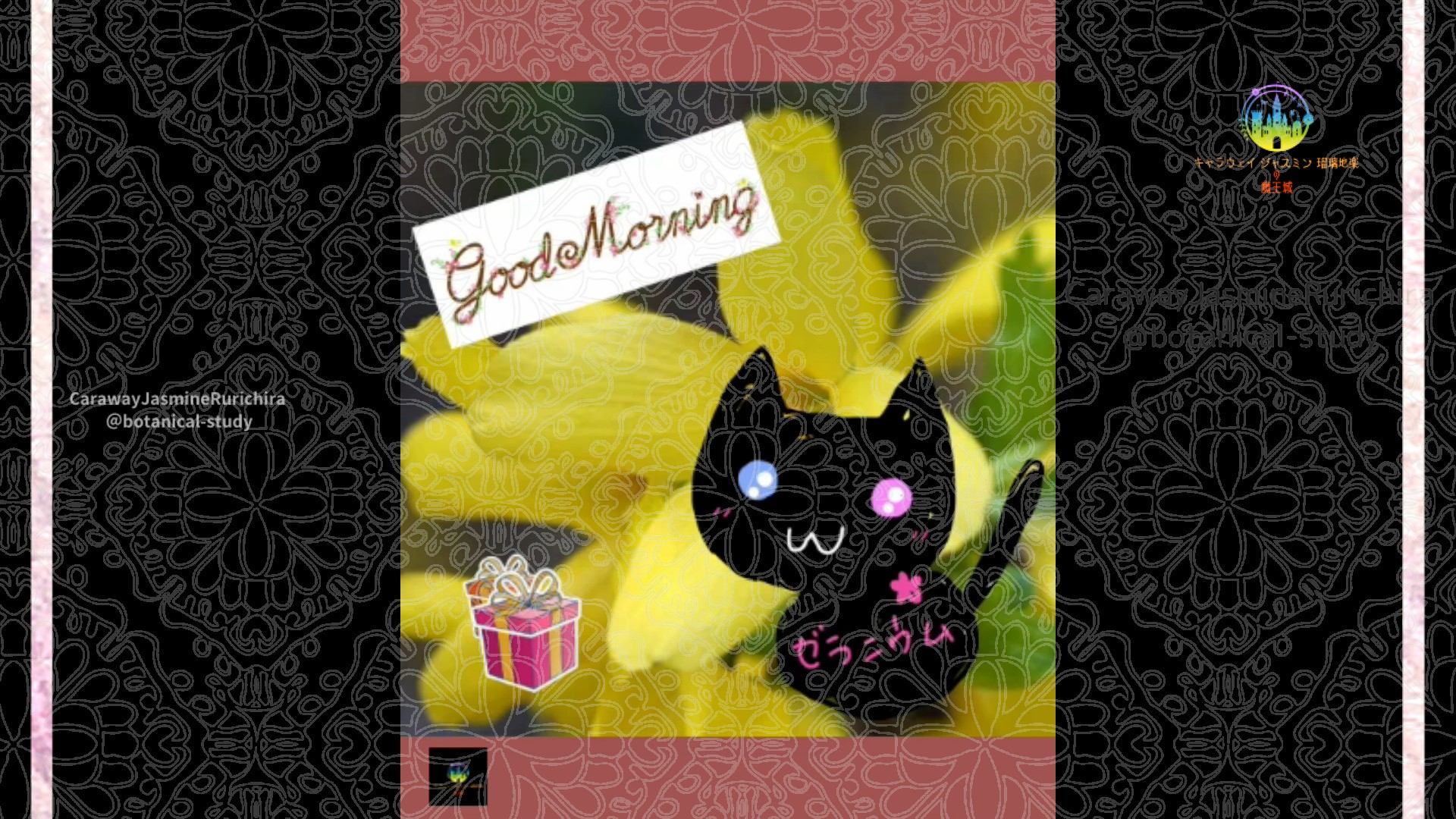 「レンギョウ」1月18日Rゼラニウム瑠璃地楽と今日の誕生花とおはようメッセージ＠botanical-study