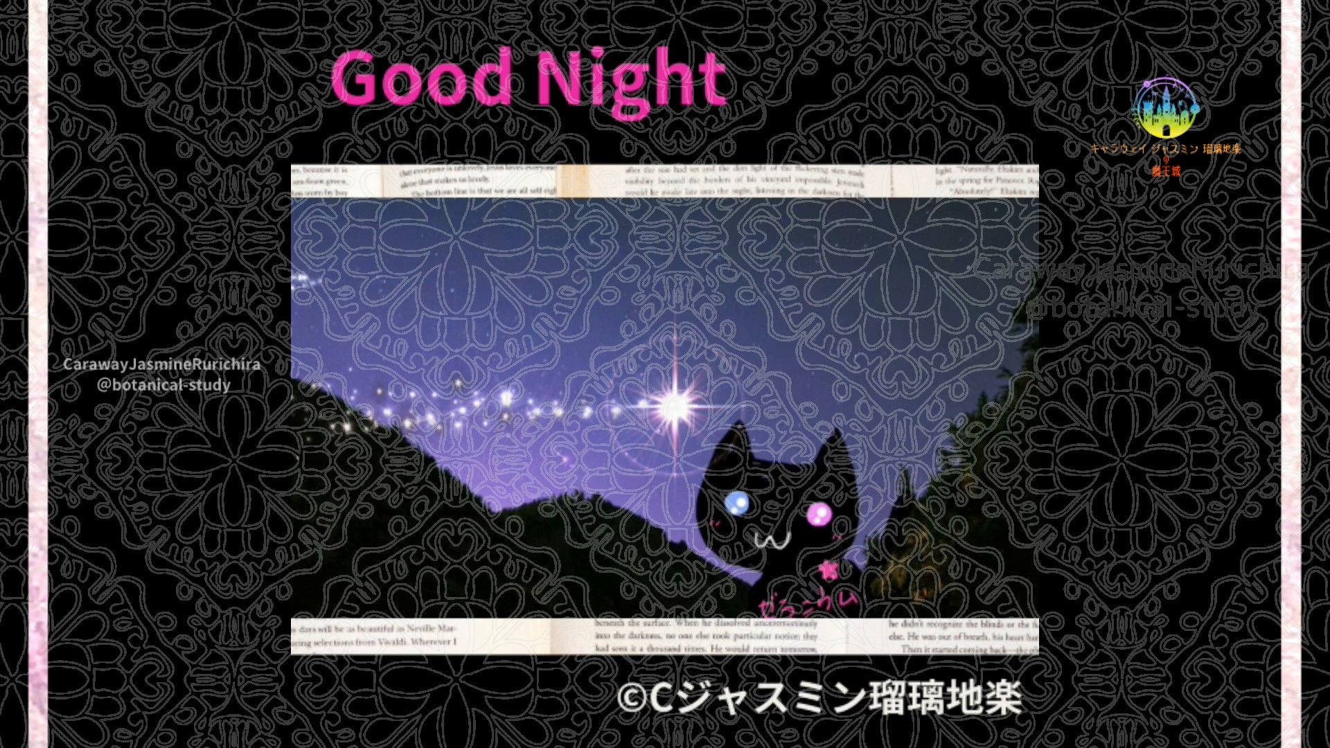 おやすみMP1 017＠botanical-study