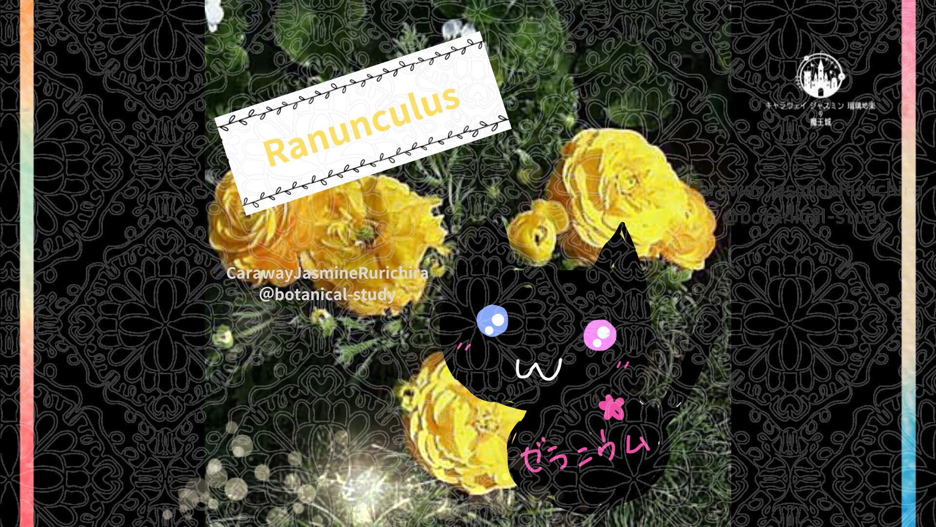 今日の誕生花A　1.29