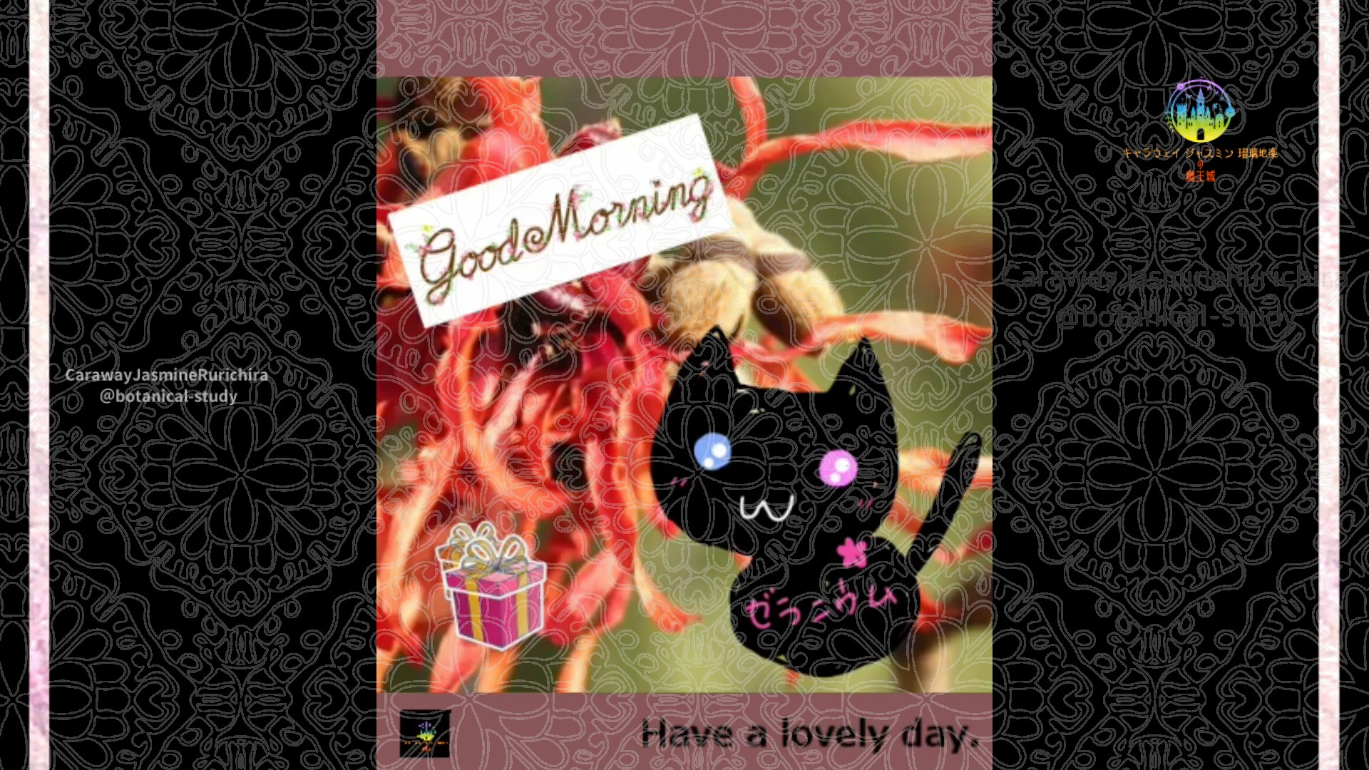 「マンサク」1月6日Rゼラニウム瑠璃地楽と今日の誕生花とおはようメッセージ＠botanical-study