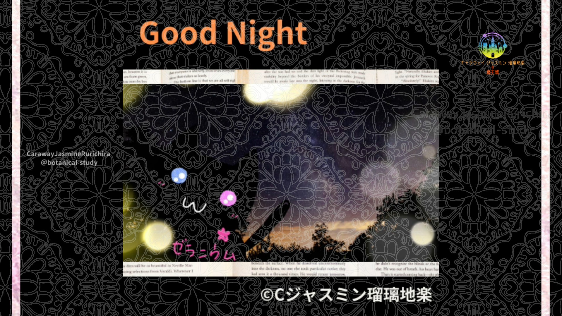 おやすみOR1 015＠botanical-study