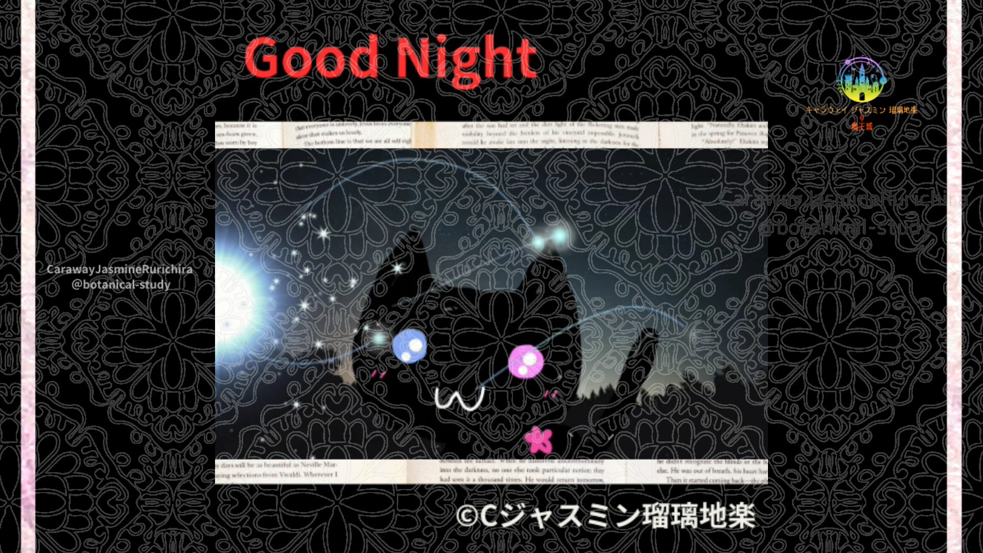 おやすみRD1 006＠botanical-study