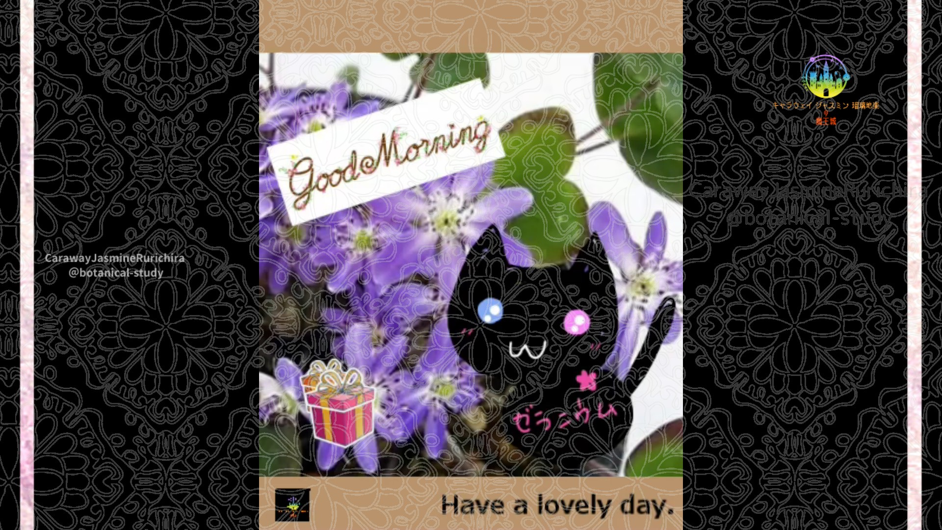 「ミスミソウ」1月11日Rゼラニウム瑠璃地楽と今日の誕生花とおはようメッセージ＠botanical-study