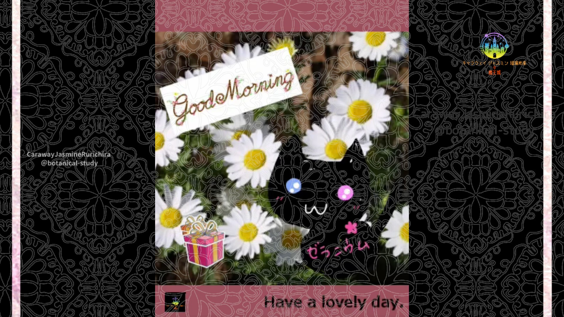 「ノースポール」1月９日Rゼラニウム瑠璃地楽と今日の誕生花とおはようメッセージ＠botanical-study