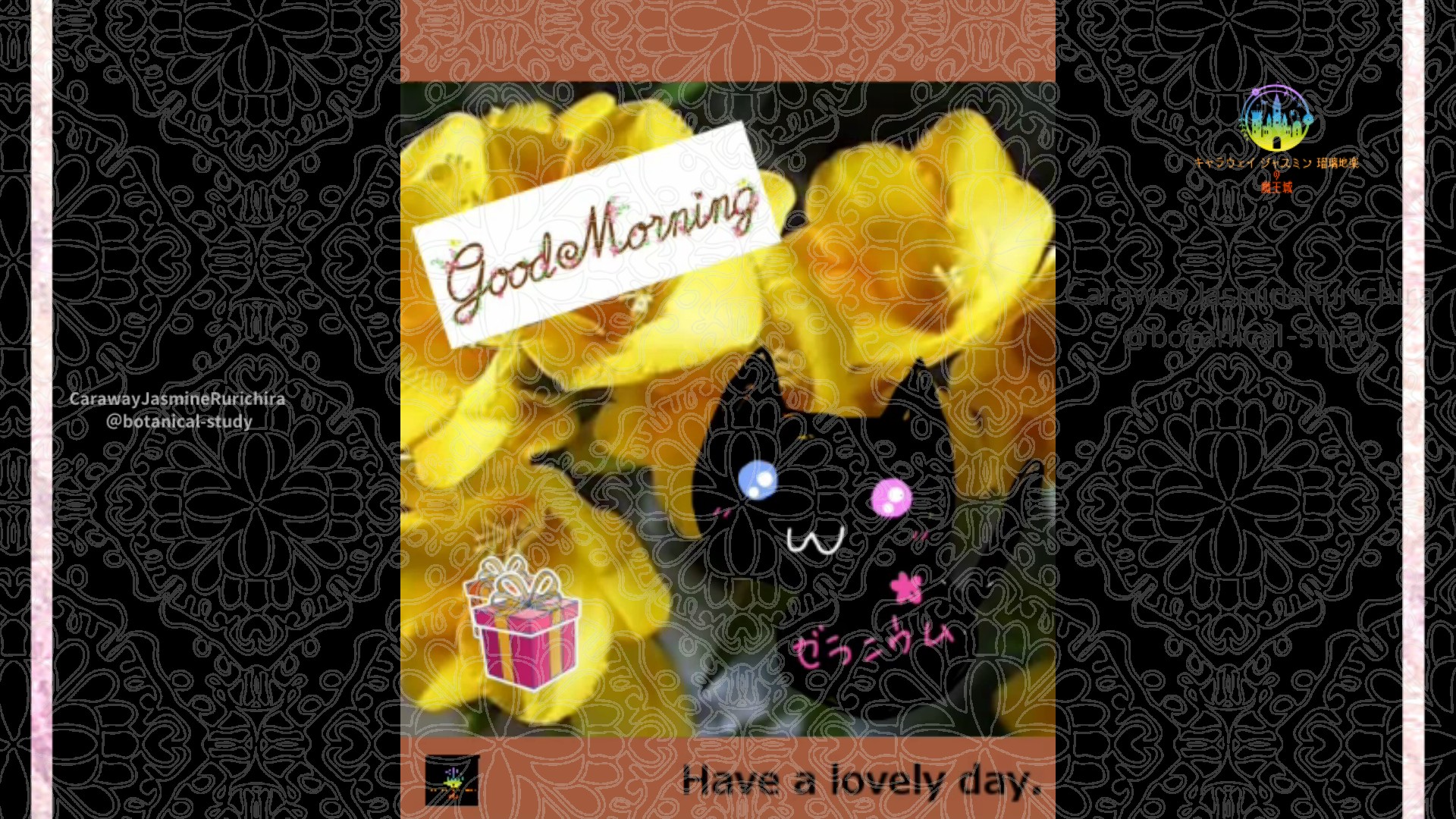 「フーリジア」1月10日Rゼラニウム瑠璃地楽と今日の誕生花とおはようメッセージ＠botanical-study