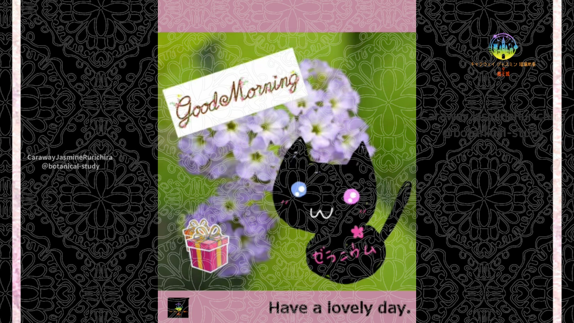 「ヘリオトローブ」1月27日Rゼラニウム瑠璃地楽と今日の誕生花とおはようメッセージ＠botanical-study