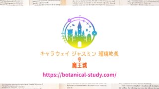 アロマハーブ資格勉強サポート・クイズ形式問題集サイトメディカルアロマやメディカルハーブの資格取得勉強対応・精油を安全に使用し購入するためのサポートサイト