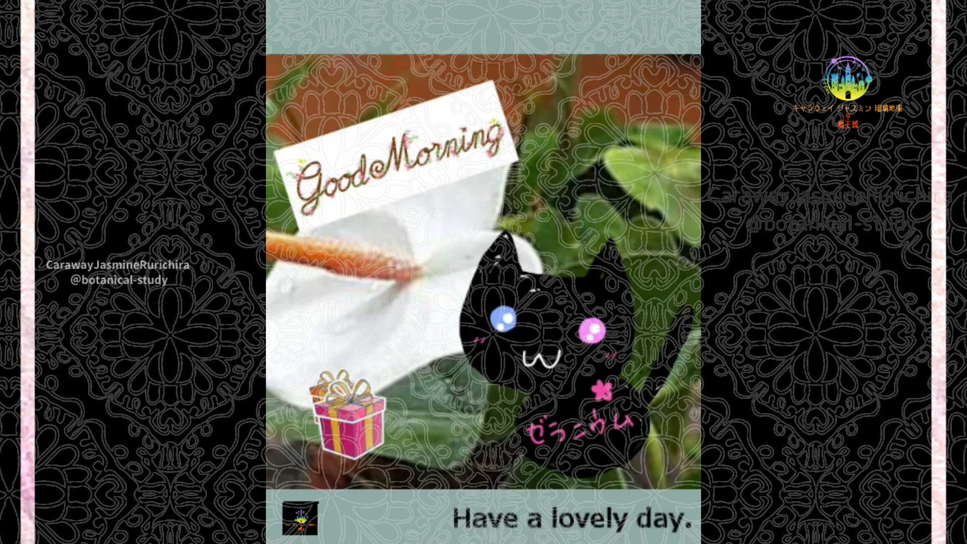 「アンスリウム」とCジャスミン瑠璃地楽の今日の誕生花B-1月22日＠botanical-study