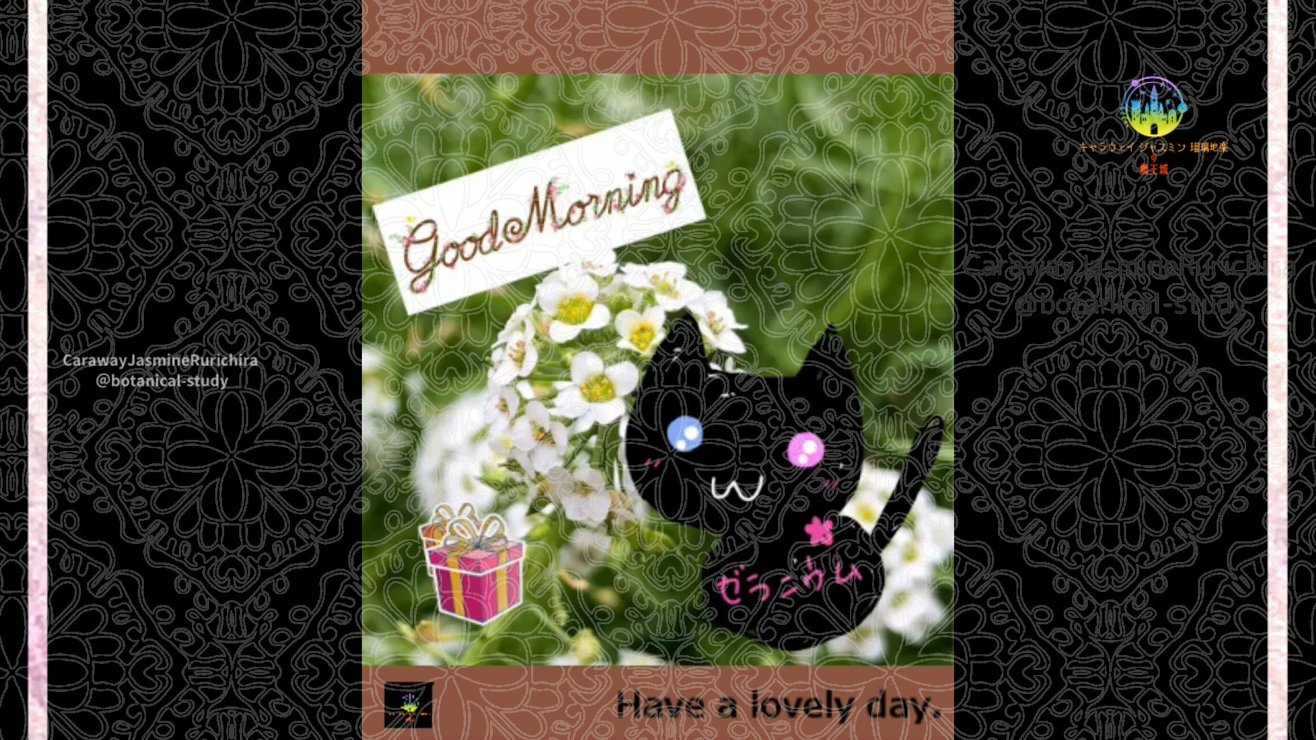 「スイートアリッサム」1月12日Rゼラニウム瑠璃地楽と今日の誕生花とおはようメッセージ＠botanical-study