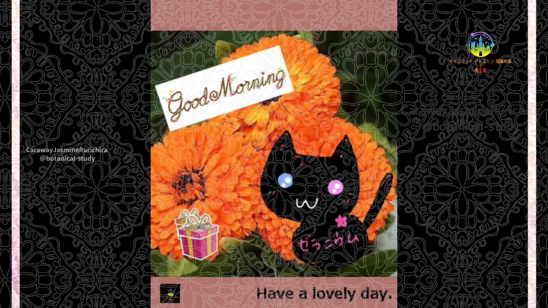 「キンセンカ」1月20日Rゼラニウム瑠璃地楽と今日の誕生花とおはようメッセージ＠botanical-study