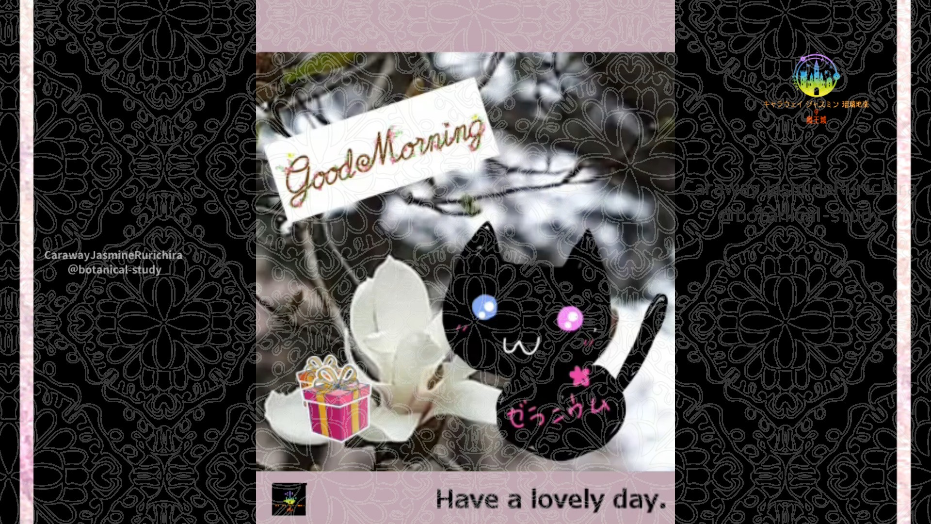 「コブシ」1月29日Rゼラニウム瑠璃地楽と今日の誕生花とおはようメッセージ＠botanical-study