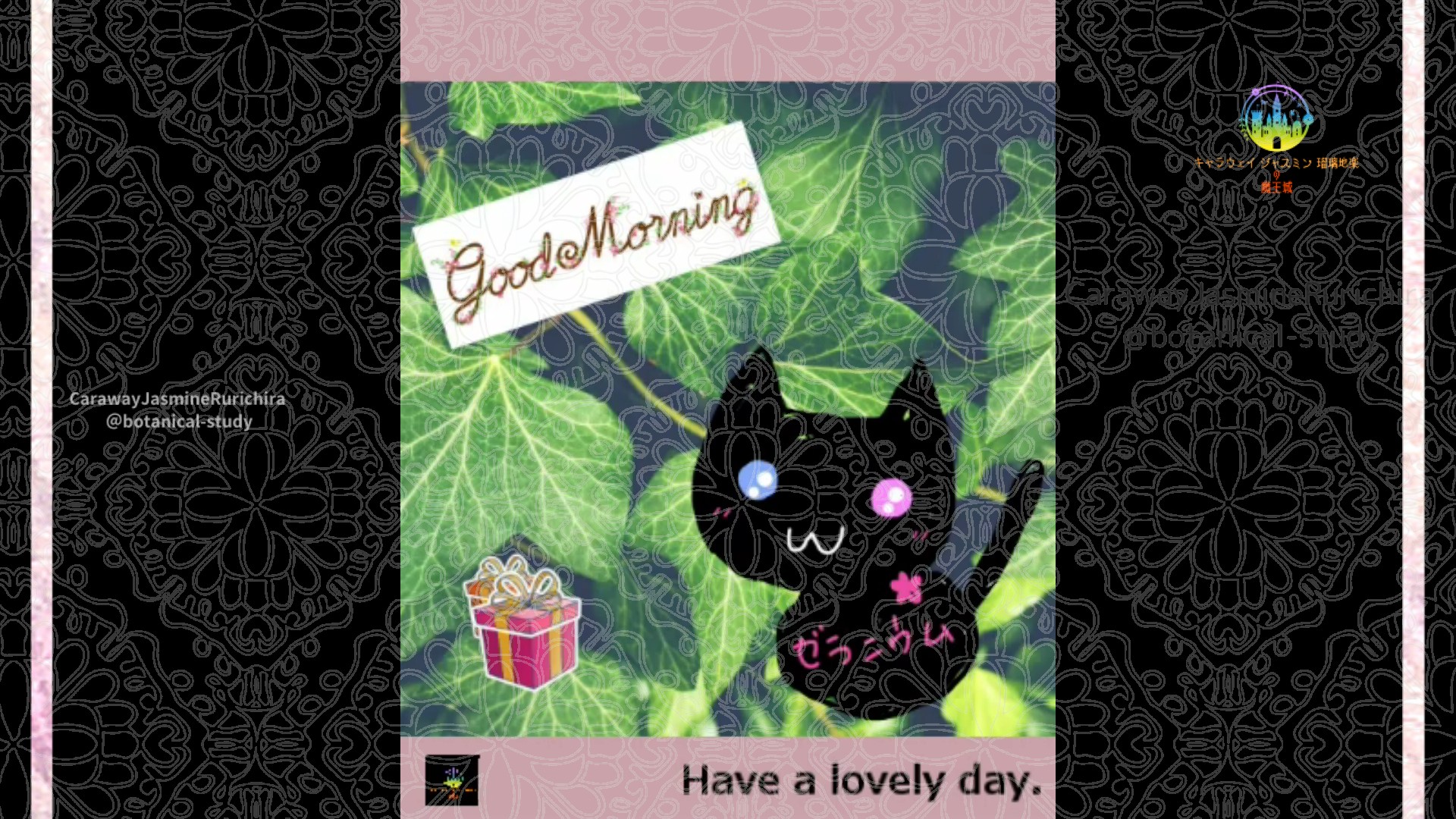 「アイビー」1月21日Rゼラニウム瑠璃地楽と今日の誕生花とおはようメッセージ＠botanical-study