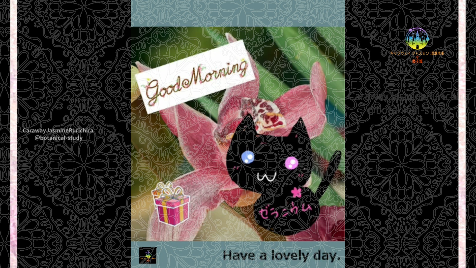 「シンビジウム」1月14日Rゼラニウム瑠璃地楽と今日の誕生花とおはようメッセージ＠botanical-study