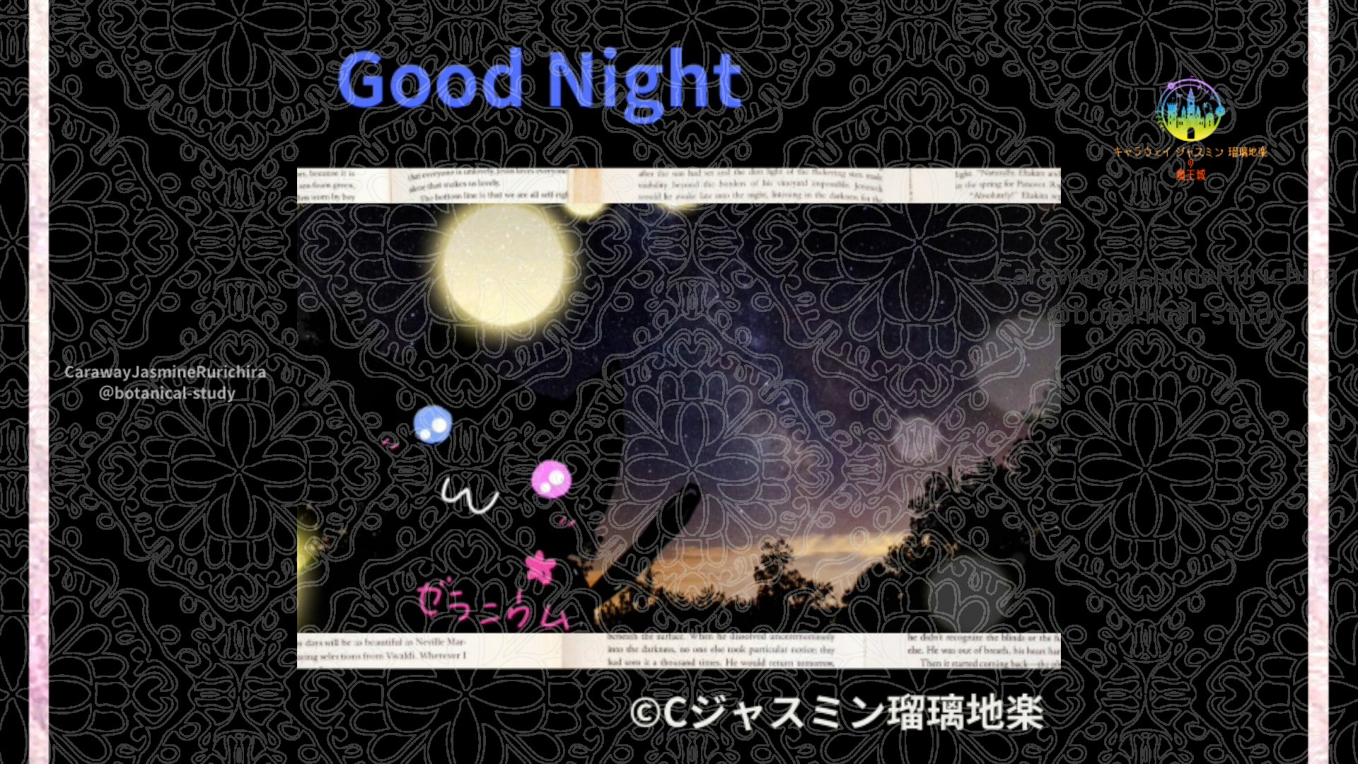 おやすみBU1 015＠botanical-study