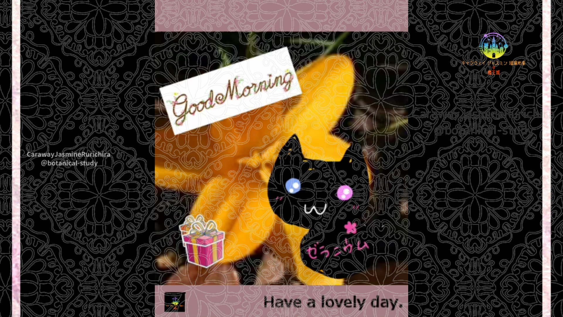 「クロッカス」1月5日Rゼラニウム瑠璃地楽と今日の誕生花とおはようメッセージ＠botanical-study