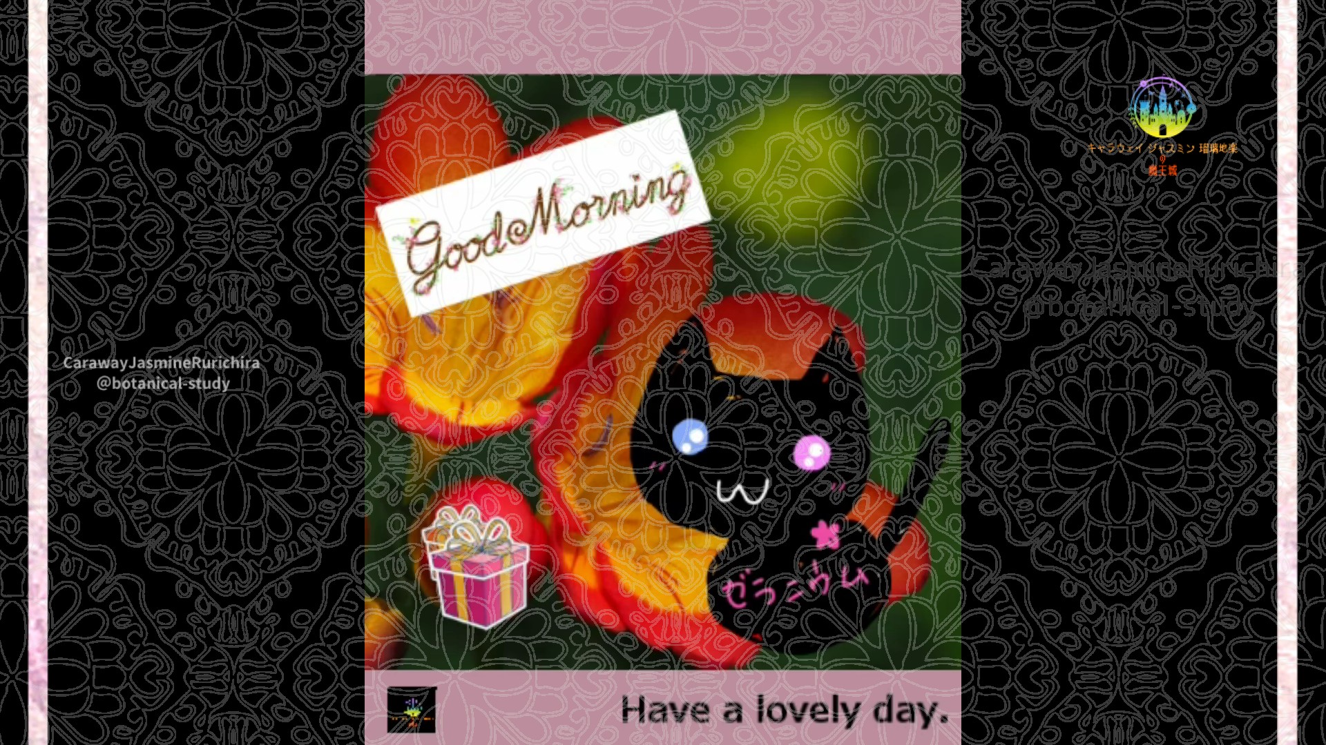 「フリージア」1月24日Rゼラニウム瑠璃地楽と今日の誕生花とおはようメッセージ＠botanical-study