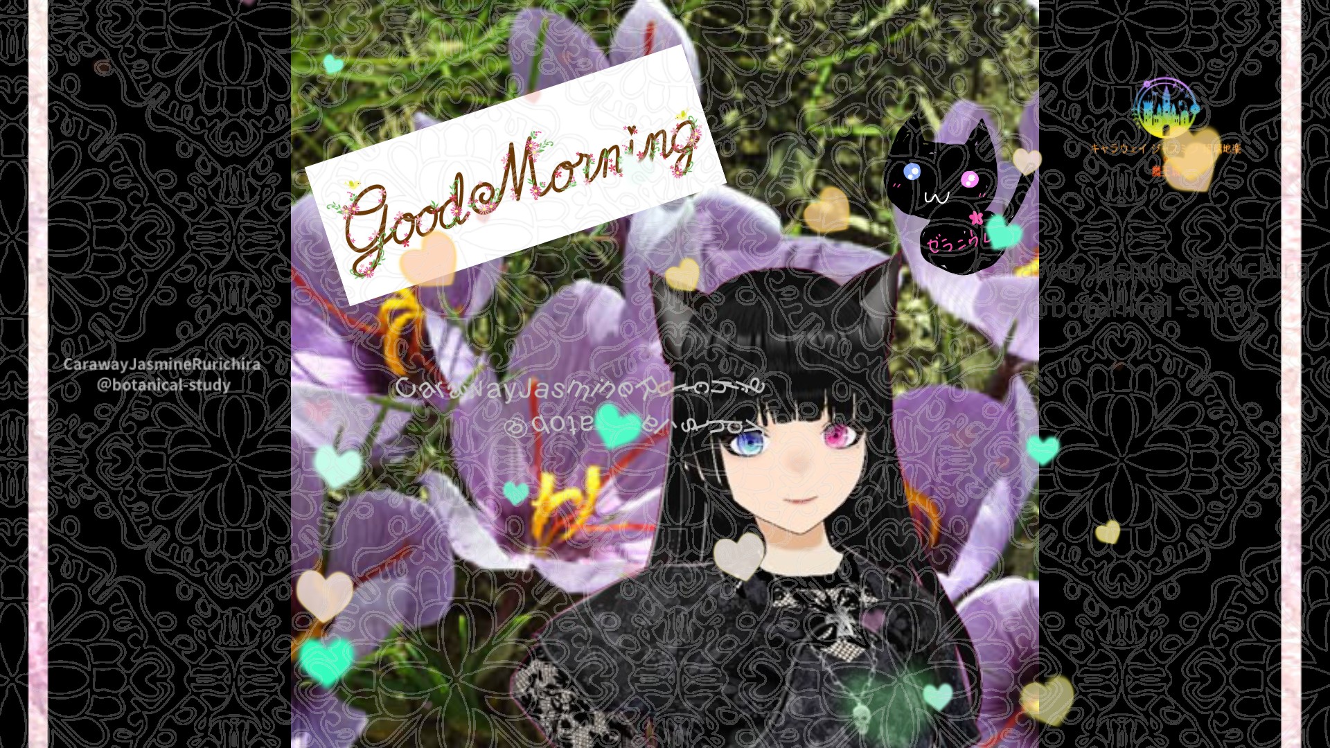 今日の誕生花A　1.3