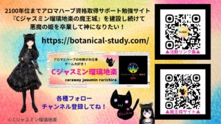 受賞歴・活動実績まとめ