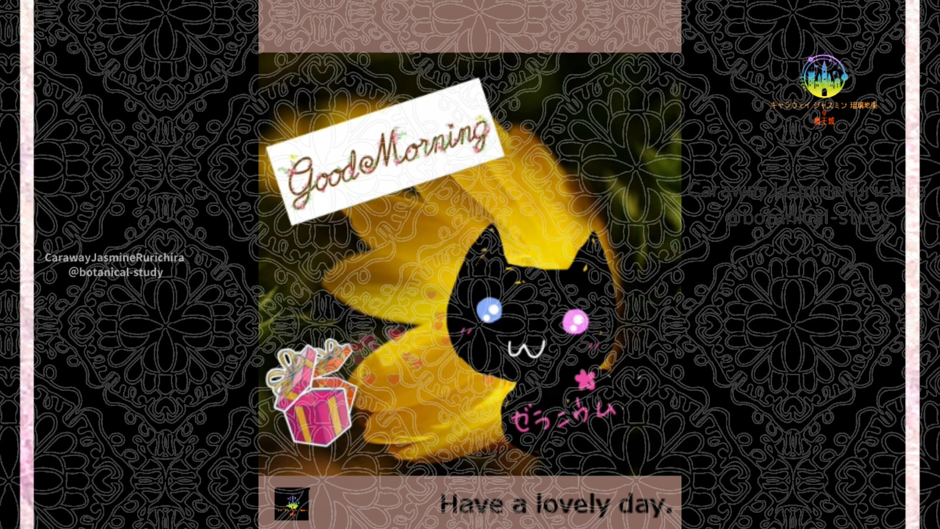 「フクジュソウ」1月4日Rゼラニウム瑠璃地楽と今日の誕生花とおはようメッセージ＠botanical-study