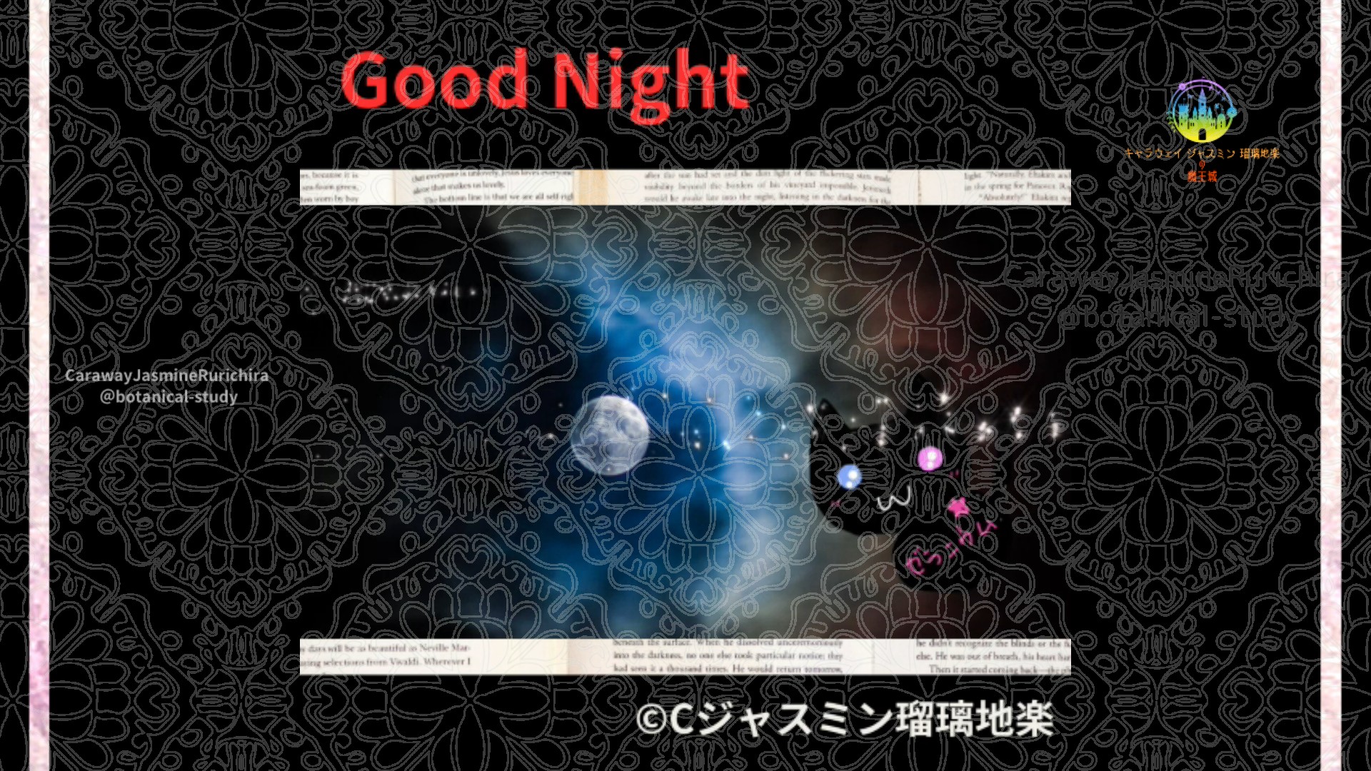 おやすみRD1 014＠botanical-study