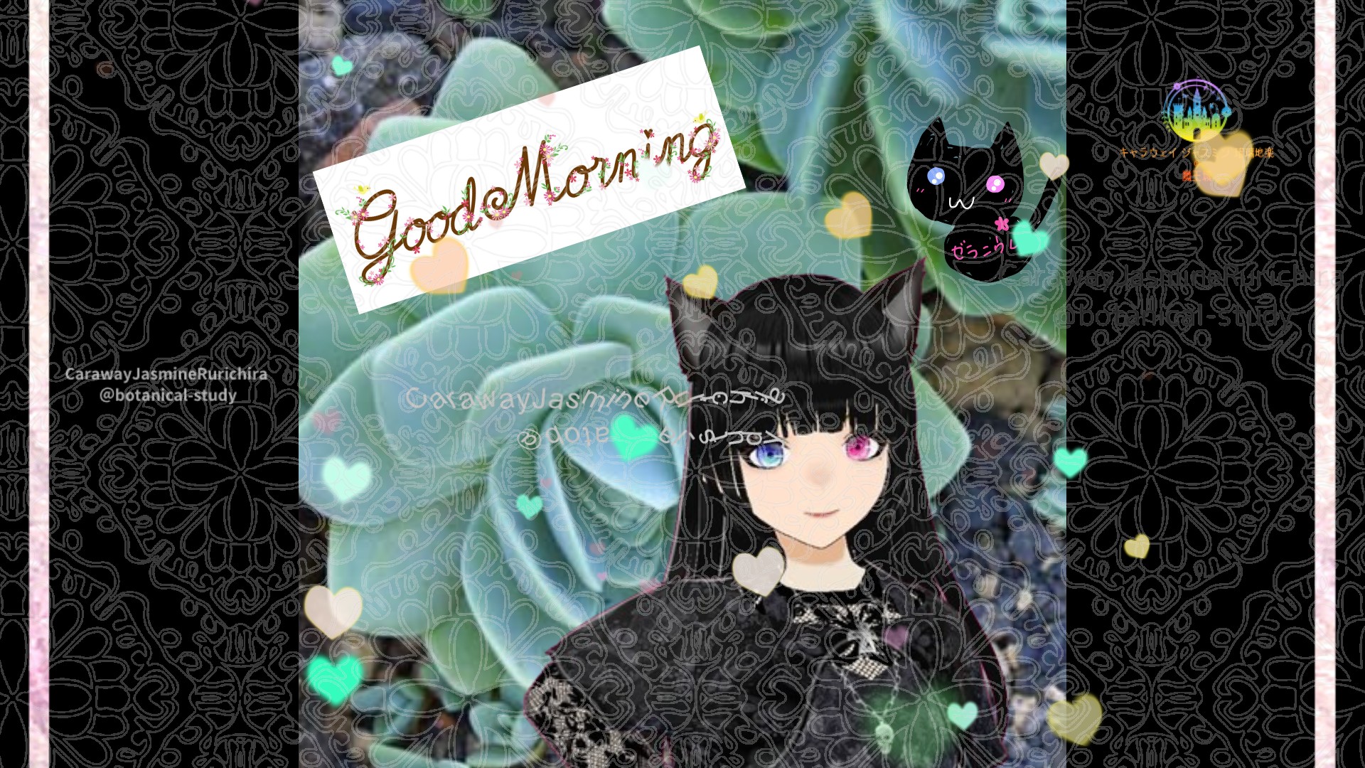 「イワレンゲ」とCジャスミン瑠璃地楽の今日の誕生花B-2月6日＠botanical-study